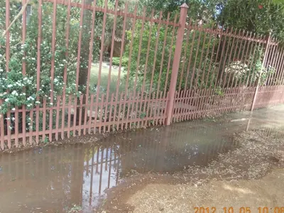 A garden verge standing under water against a palisade fence